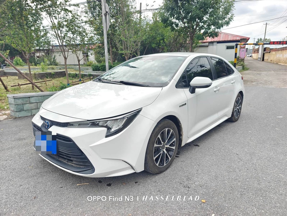 Toyota Levin