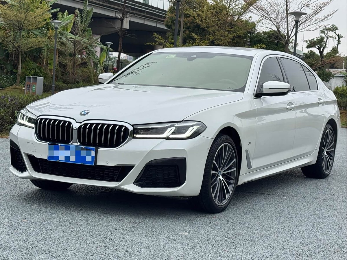 BMW 530Li