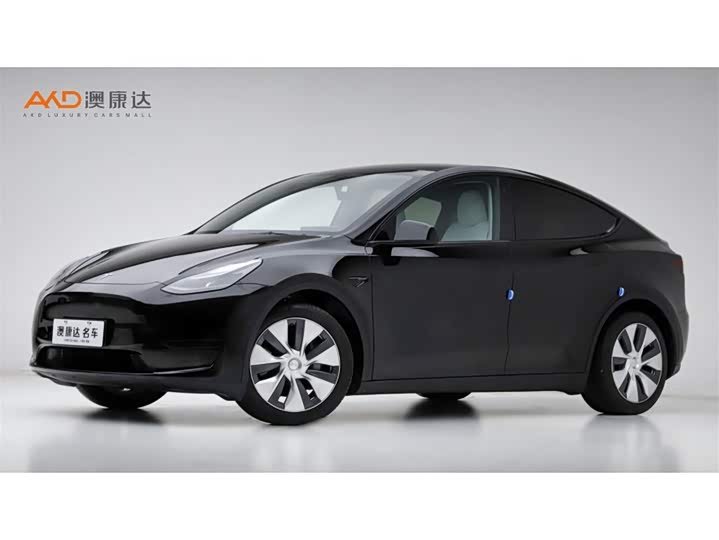 Tesla Model