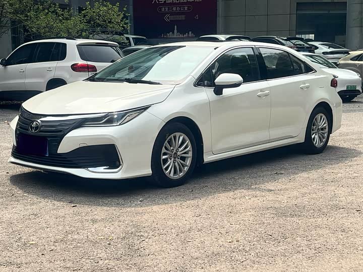 Toyota Asian Lion