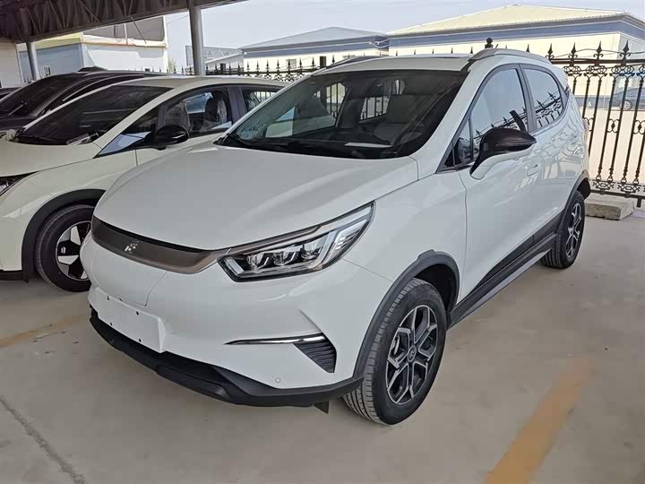 BYD Pro