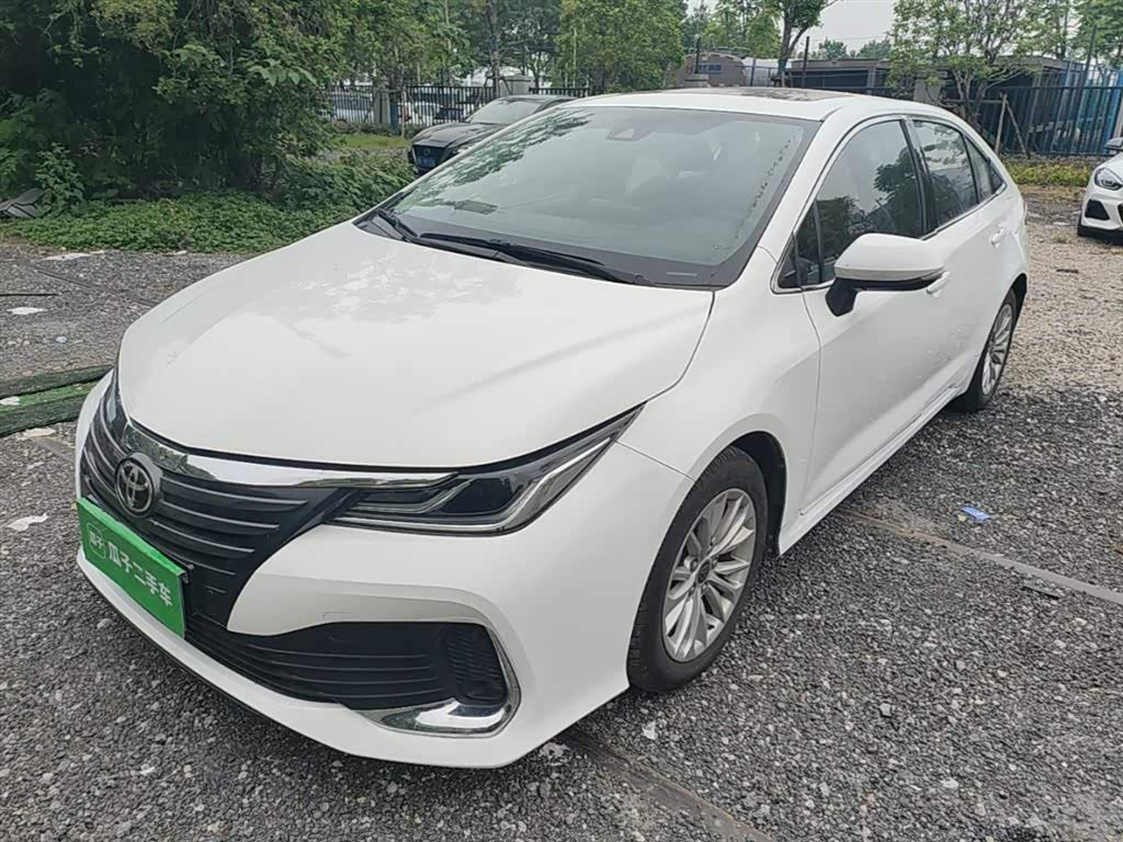 Toyota Asian Lion