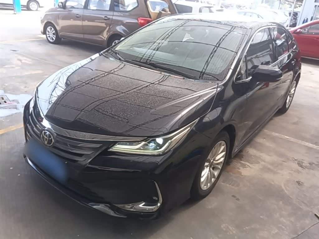 Toyota Asian Lion