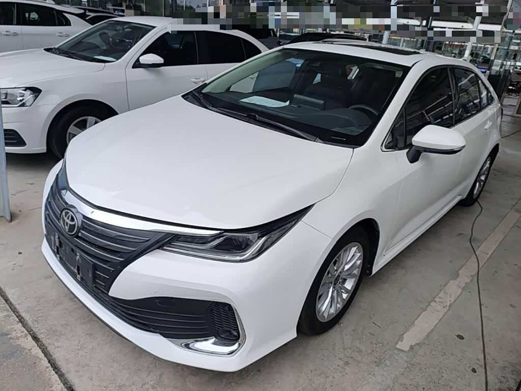 Toyota Asian Lion