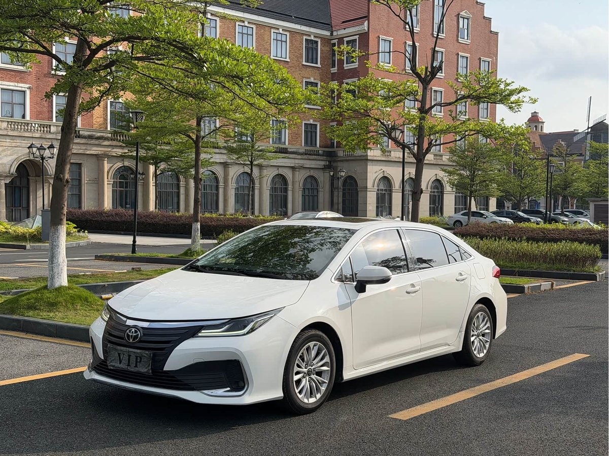 Toyota Asian Lion