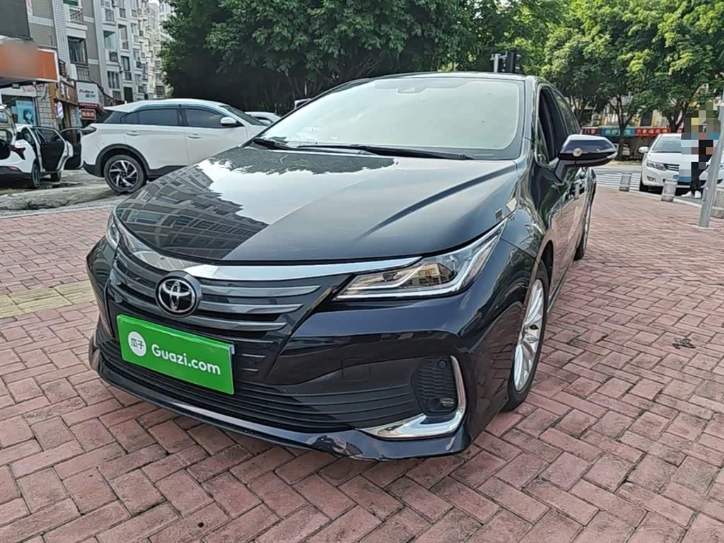 Toyota Asian Lion