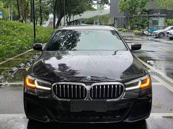 BMW 530Li