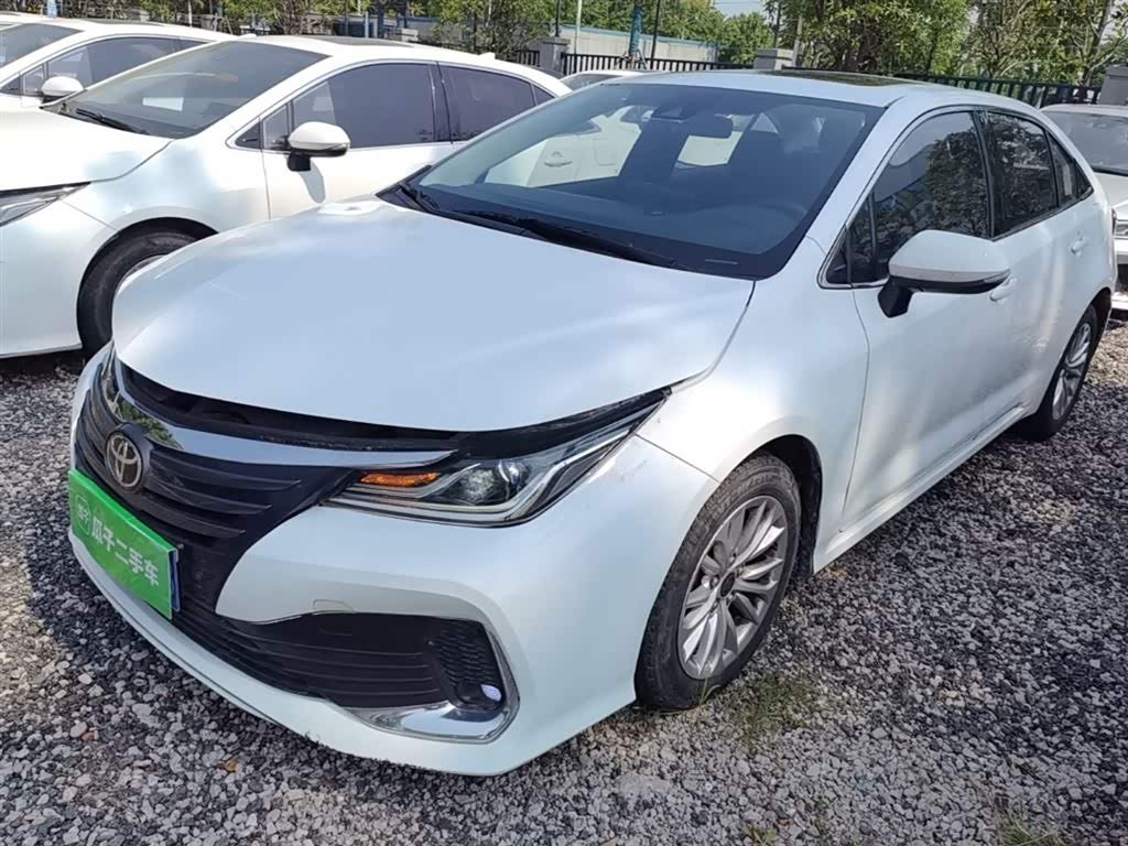 Toyota Asian Lion