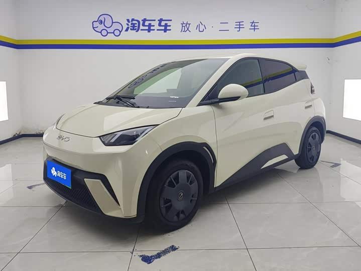 BYD Seagull
