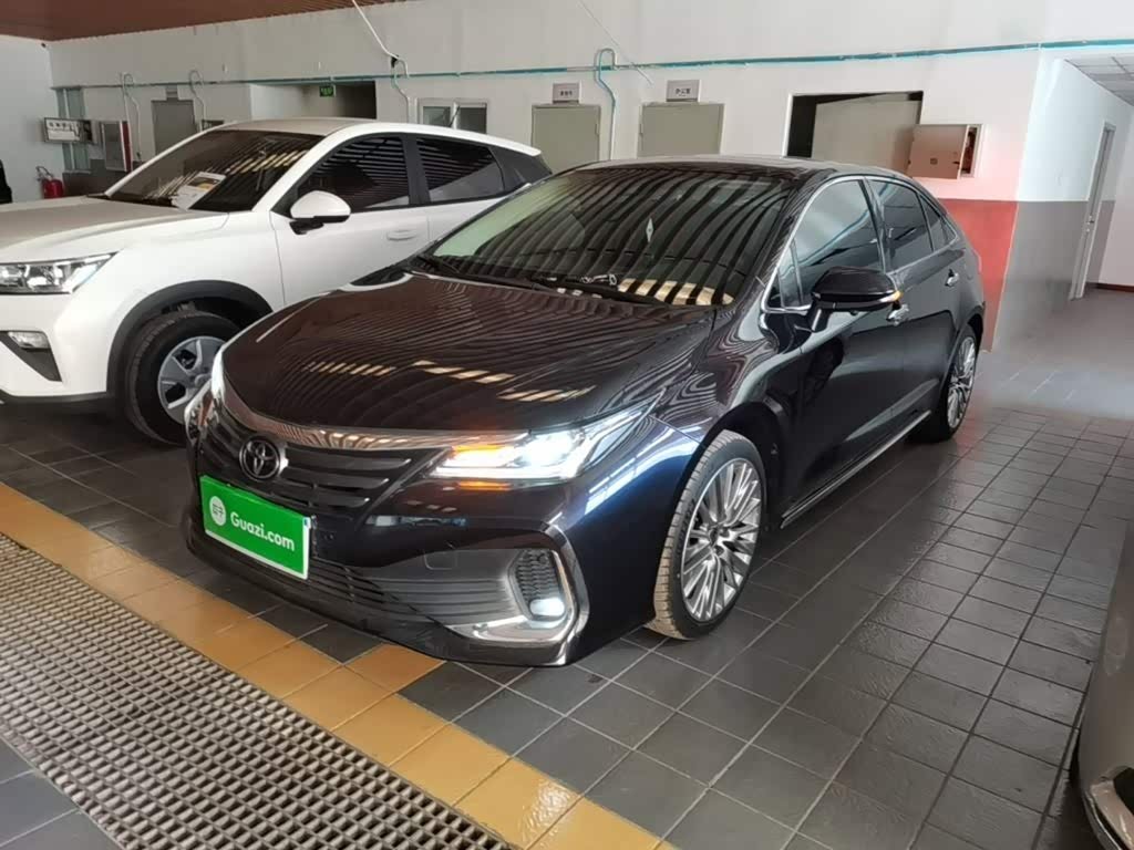 Toyota Asian Lion