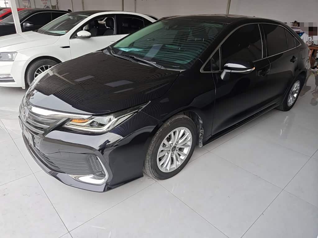 Toyota Asian Lion