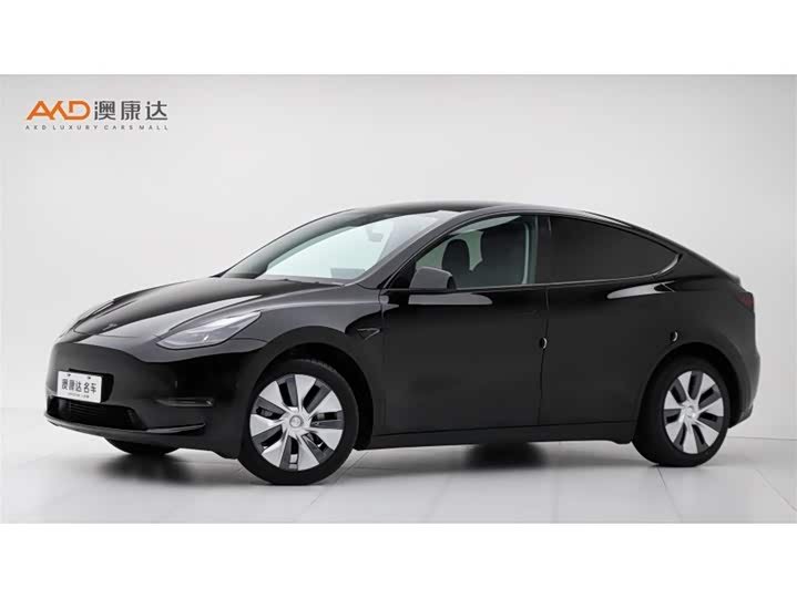 Tesla Model