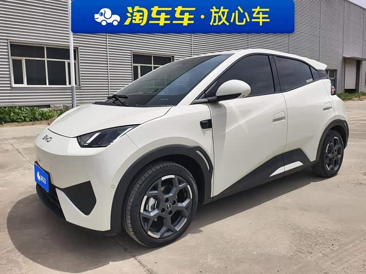 BYD Seagull