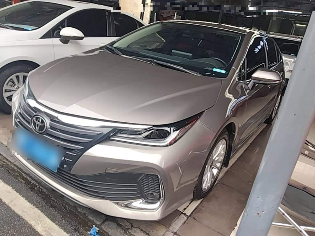 Toyota Asian Lion