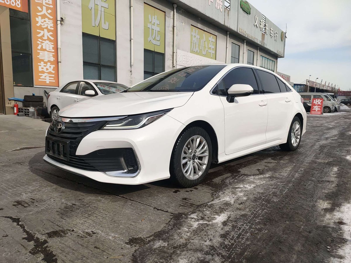 Toyota Asian Lion