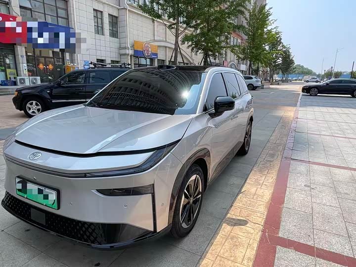 Toyota X