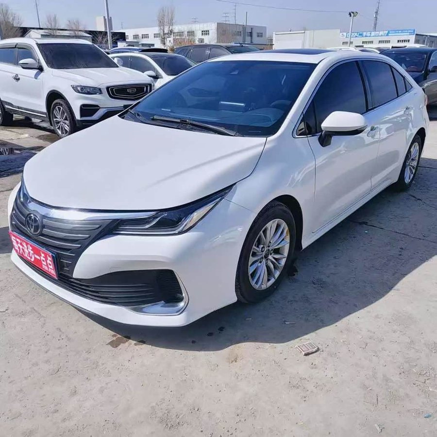 Toyota Asian Lion