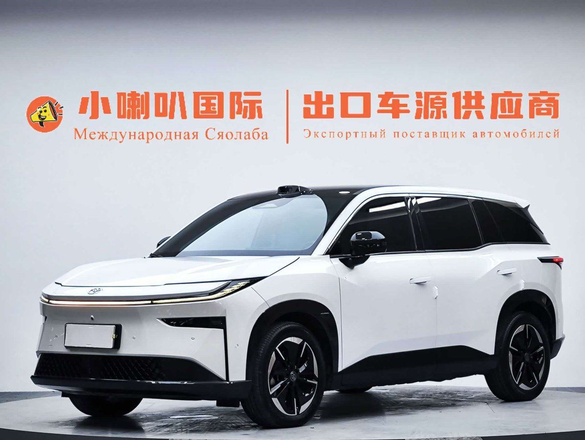 Toyota X