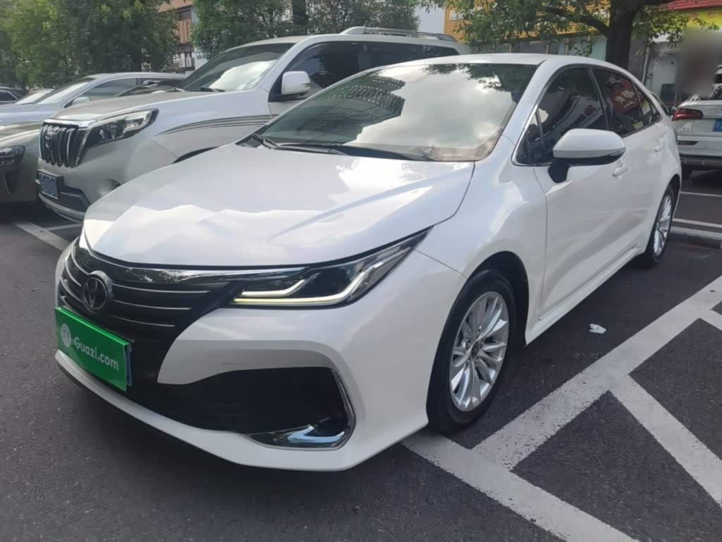 Toyota Asian Lion