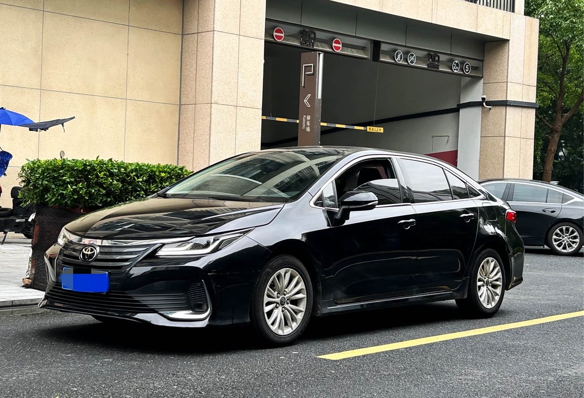 Toyota Asian Lion