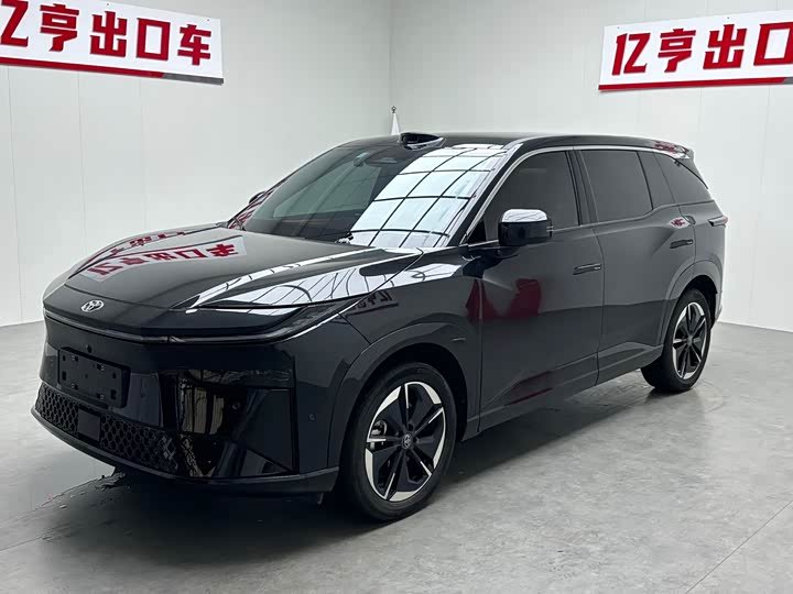 Toyota X