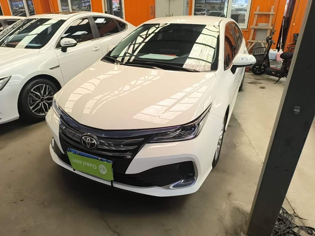 Toyota Asian Lion