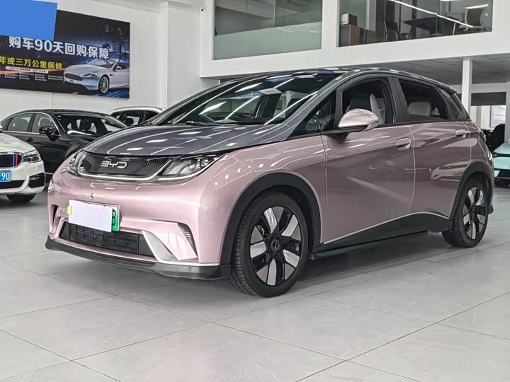 BYD Dolphin