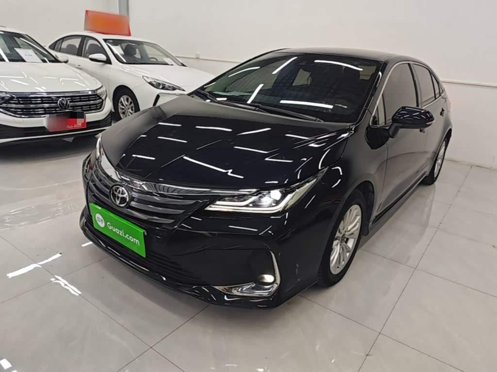 Toyota Asian Lion
