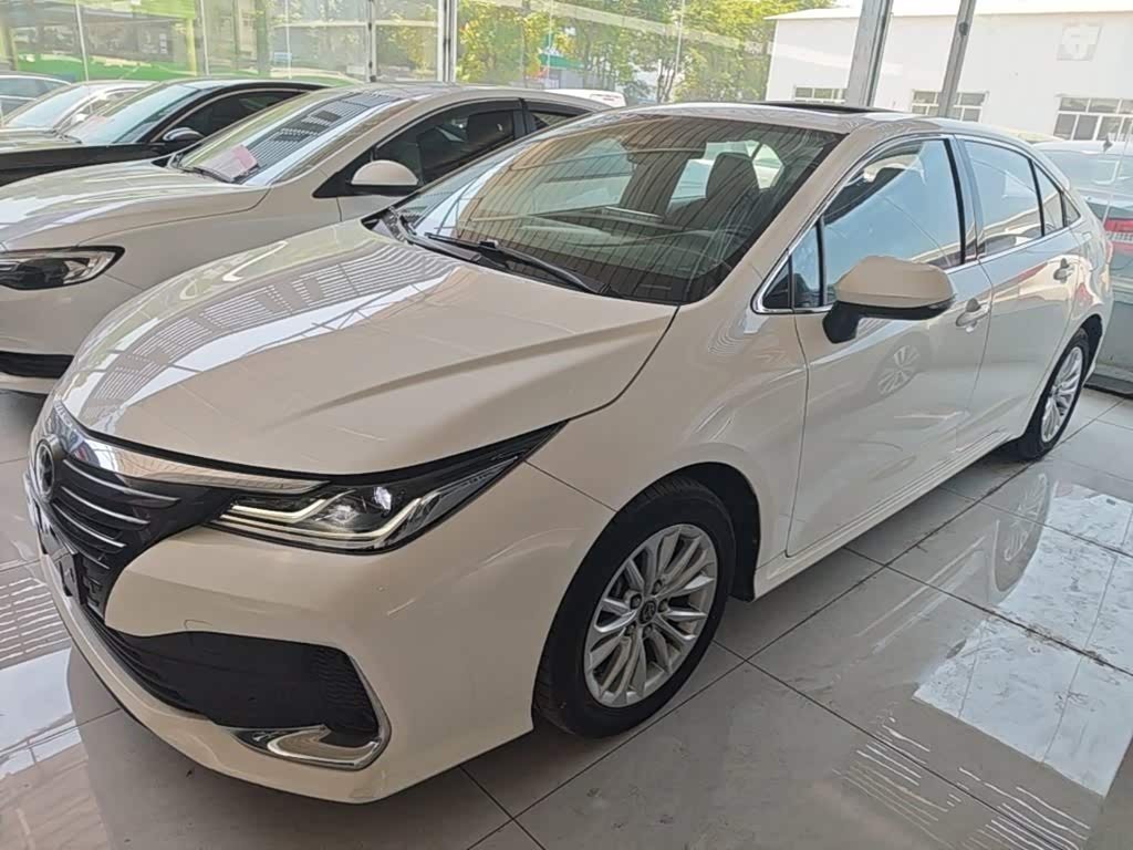 Toyota Asian Lion