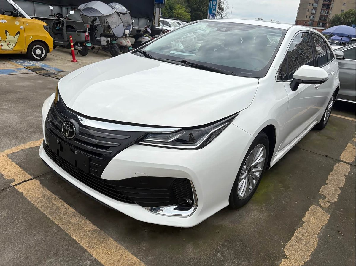 Toyota Asian Lion