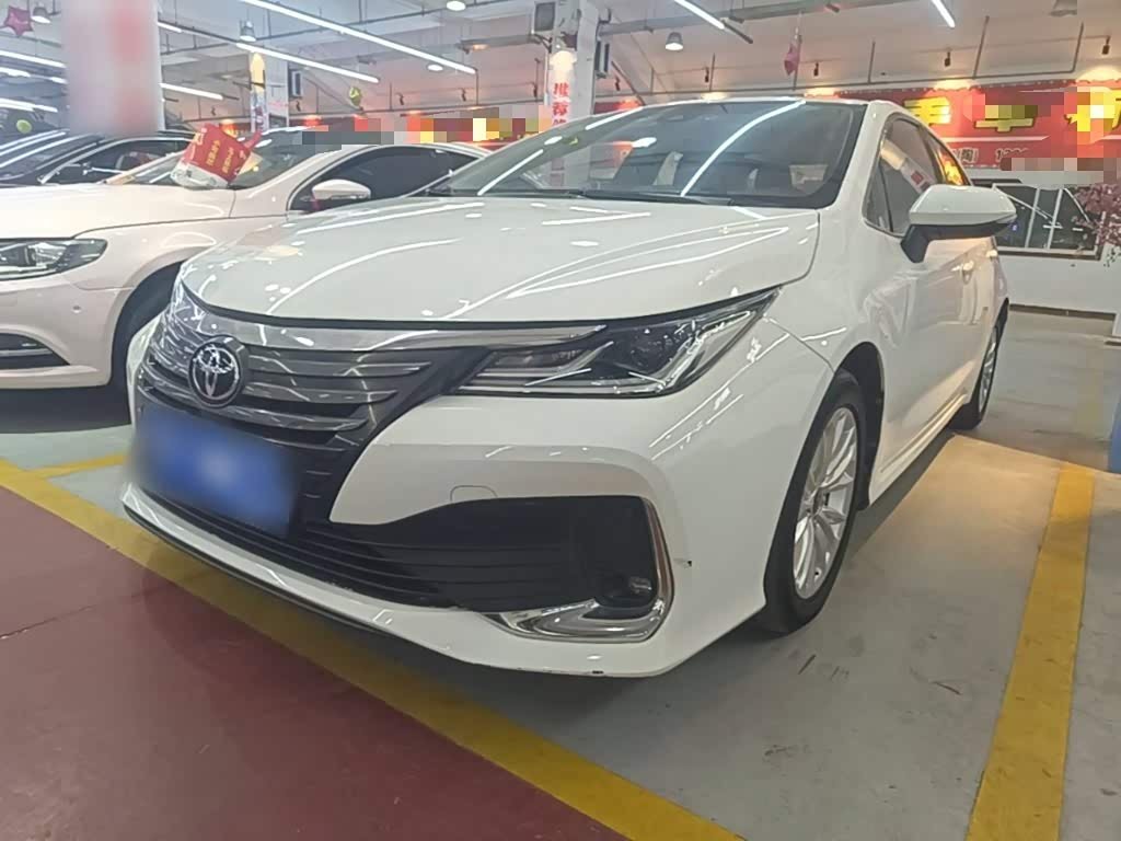Toyota Asian Lion