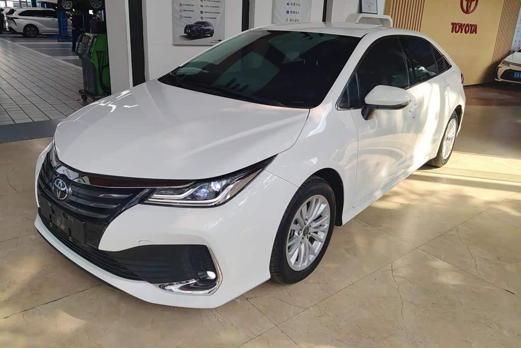 Toyota Asian Lion