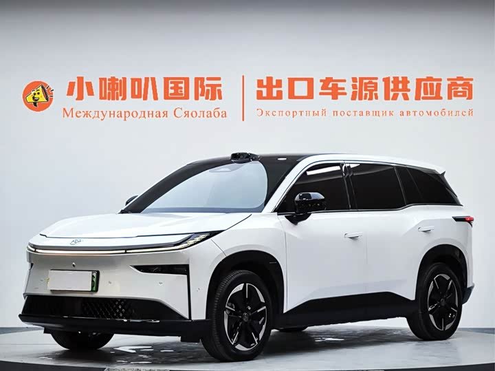 Toyota X