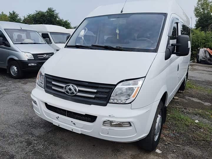 Maxus V80