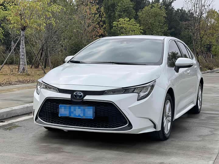 Toyota Levin