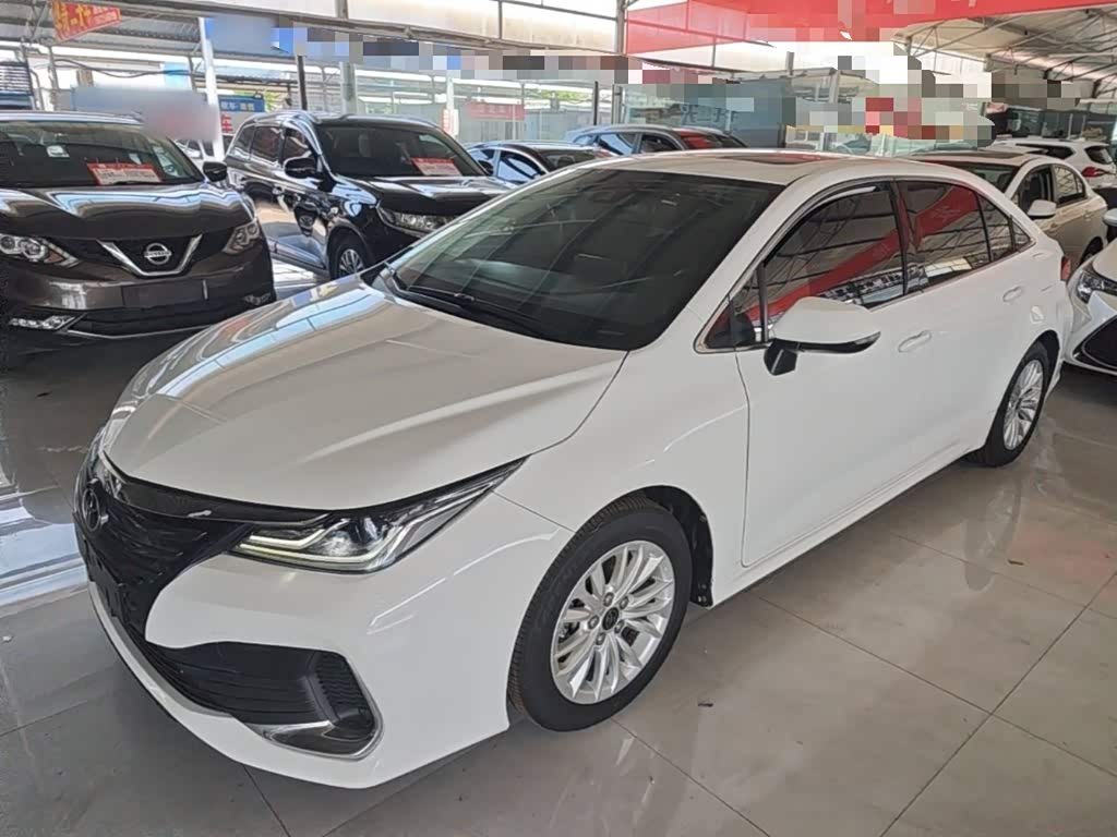 Toyota Asian Lion