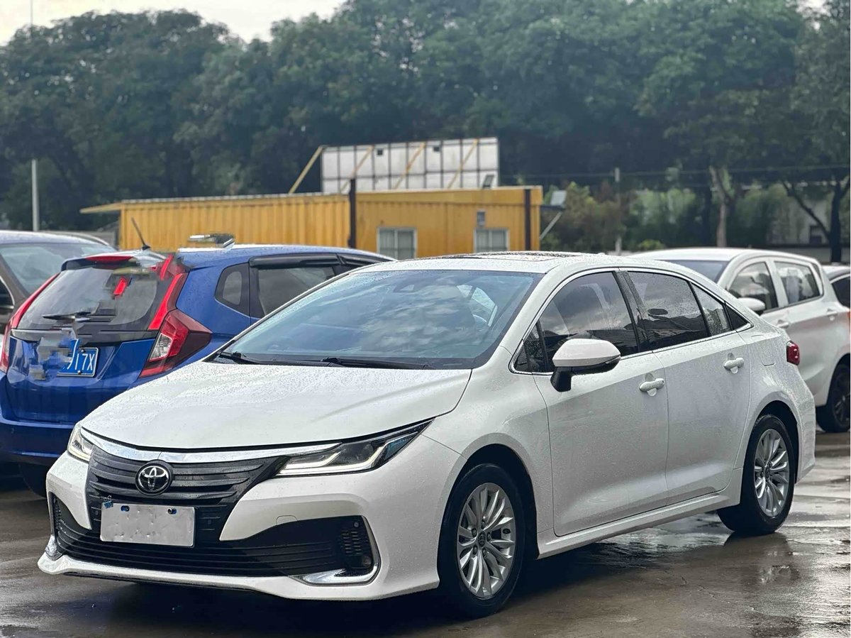 Toyota Asian Lion