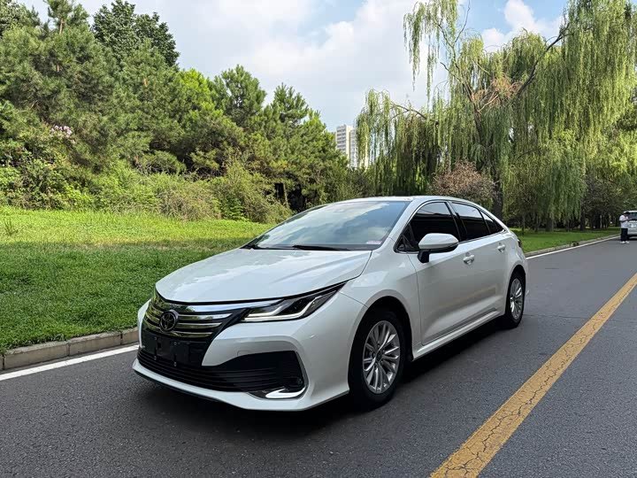 Toyota Asian Lion