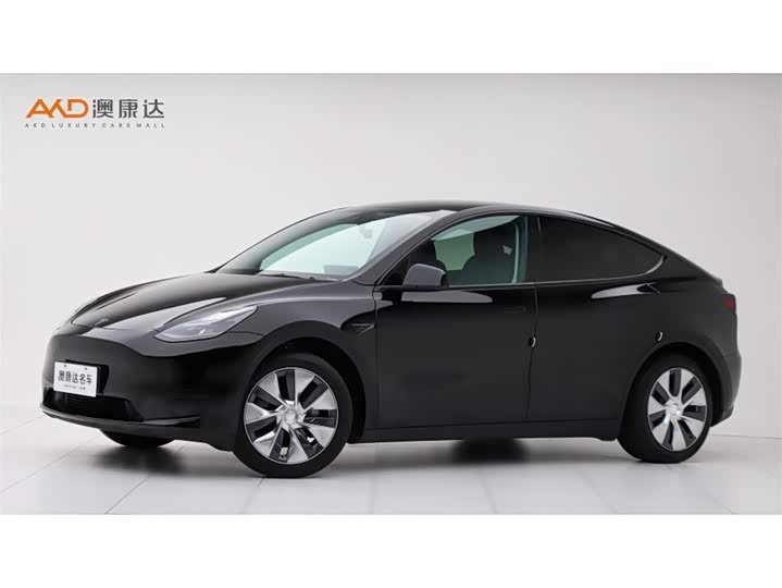 Tesla Model