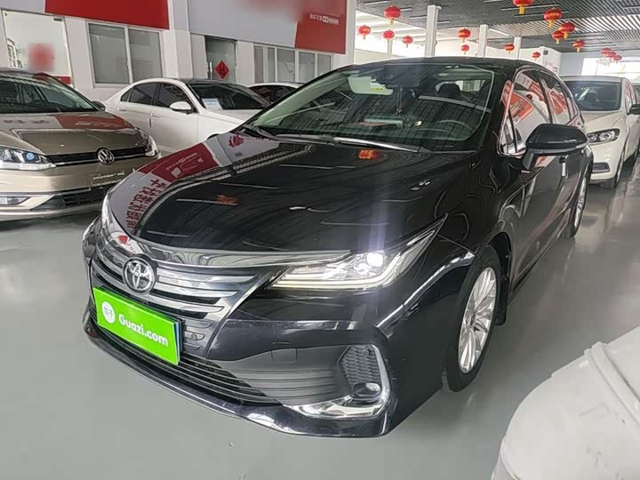Toyota Asian Lion