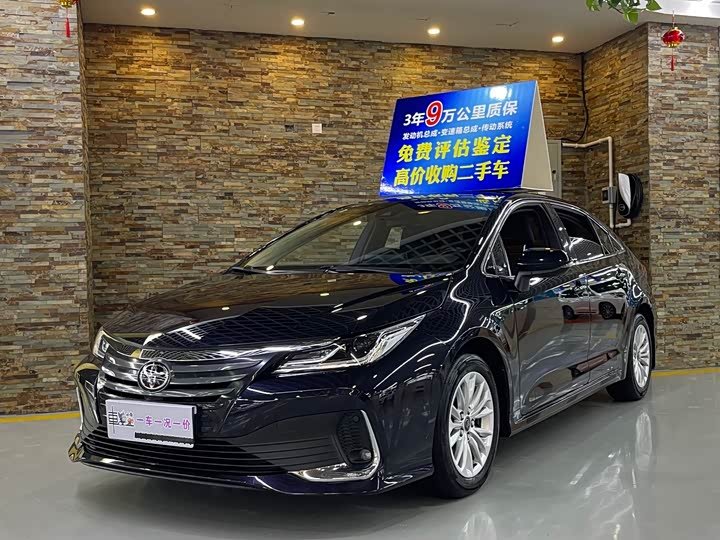 Toyota Asian Lion