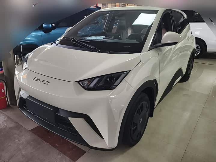 BYD Seagull