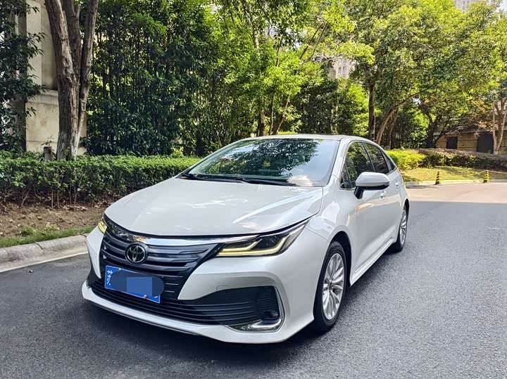 Toyota Asian Lion