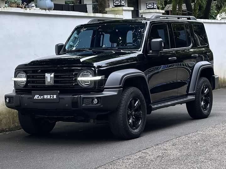 Tank 300