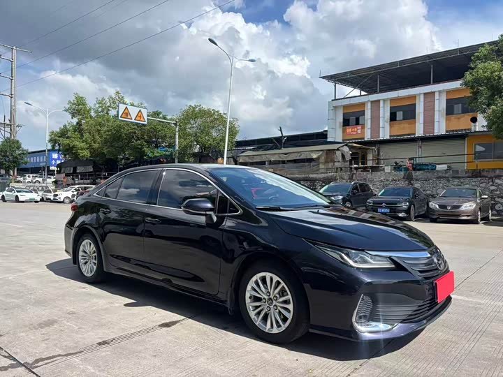 Toyota Asian Lion