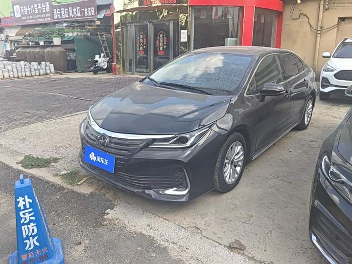 Toyota Asian Lion