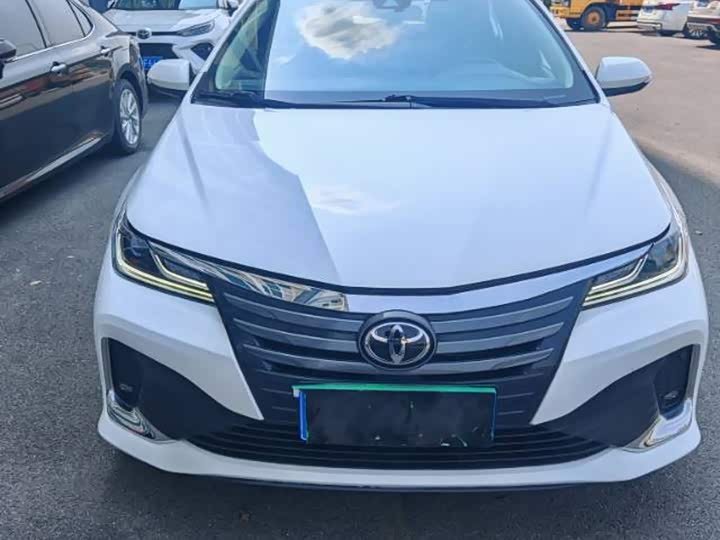 Toyota Asian Lion