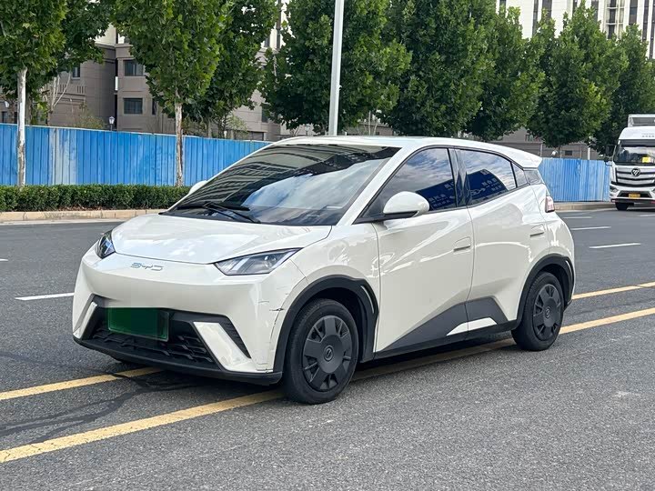 BYD Seagull
