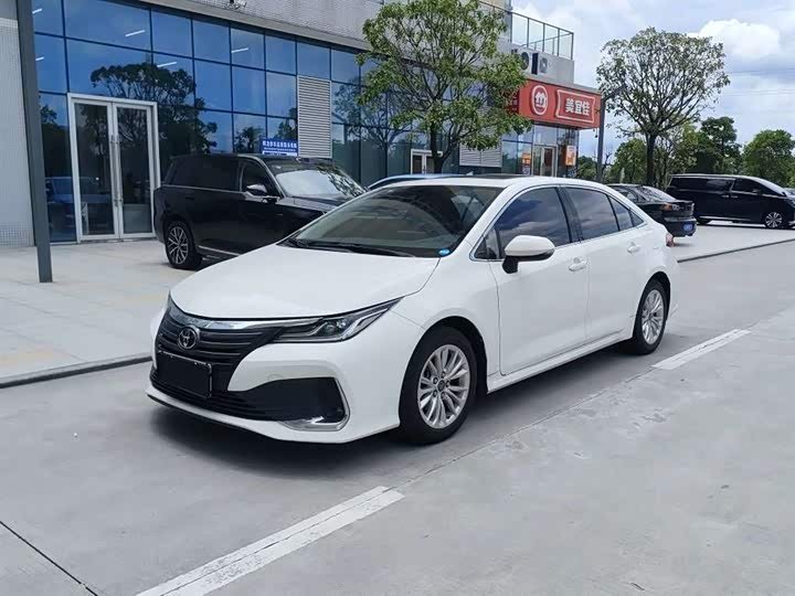 Toyota Asian Lion