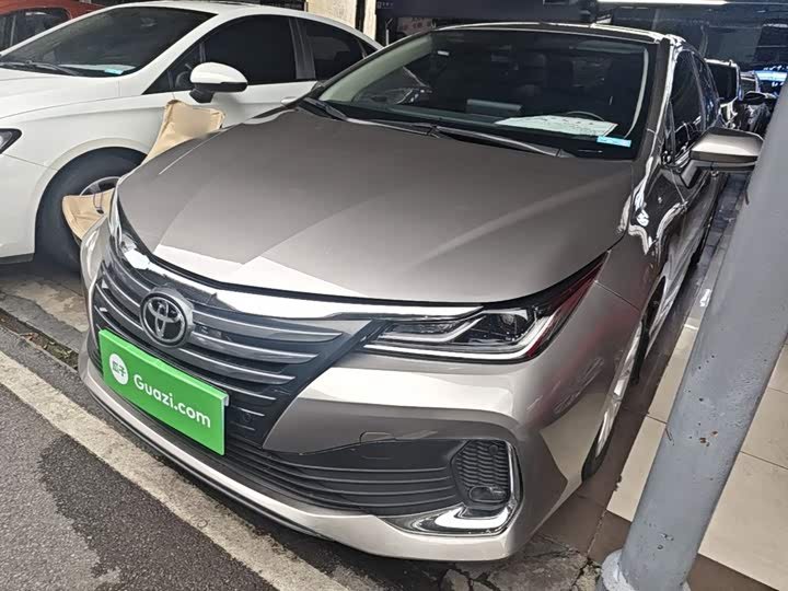 Toyota Asian Lion